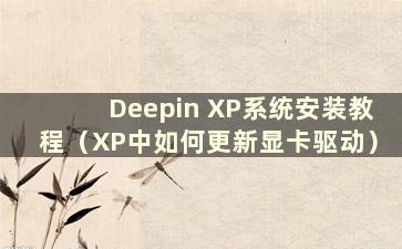 Deepin XP系统安装教程（XP中如何更新显卡驱动）